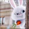 兔子的最爱胡萝卜